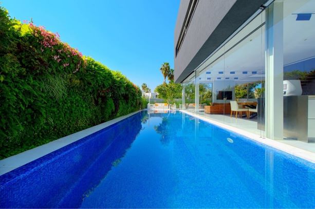 קיר ירוק ליד בריכה