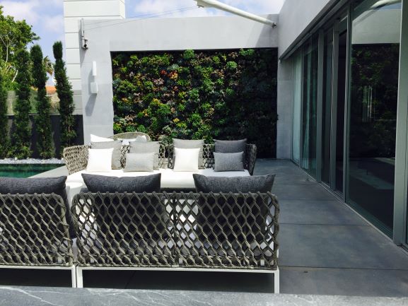 קיר ירוק מסוקולונטים